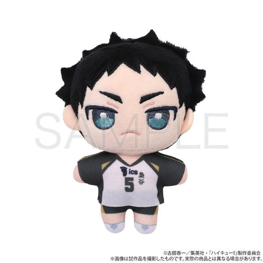 ハイキュー！！ ぬいパル ぬいぐるみ 赤葦京治 新品 未開封品 正規品 【ムービック】